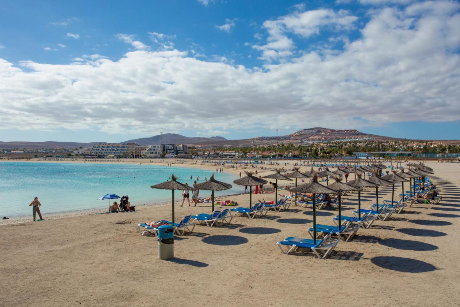 Mariposas Caleta