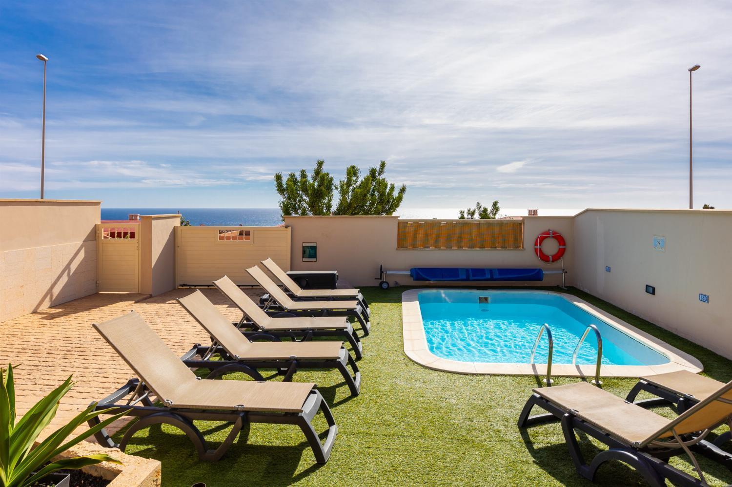 Mariposas Caleta